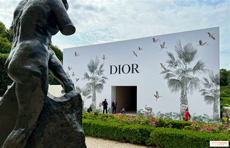 dior musee rodin fashion show|Dior fashion style.